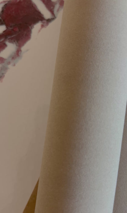 Velvet Wrapping Paper - Champagne